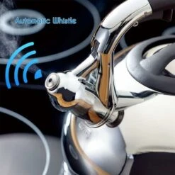 Bollitore A Induzione Con Fischio In Acciaio Inossidabile, Bollitore Da 2,5 L Per Tutte Le Piastre Elettriche, Bollitore Con Fischio Con Manico Resistente Al Calore E Antiscivolo, Bollitore Per Tè E C -Piccoli Elettrodomestici Negozio 95467254 5