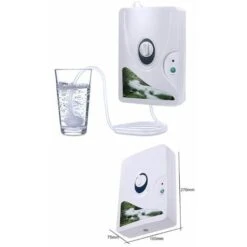 Sterilizzatore Per Frutta E Verdura Lavatrice Per Verdure Ad Ossigeno Attivo Per Uso Domestico